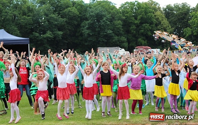 Zdjęcie w galerii na portalu naszraciborz.pl: Prezentacje grup z RCK drugiego dnia Dni Raciborza  wiadomości z regionu