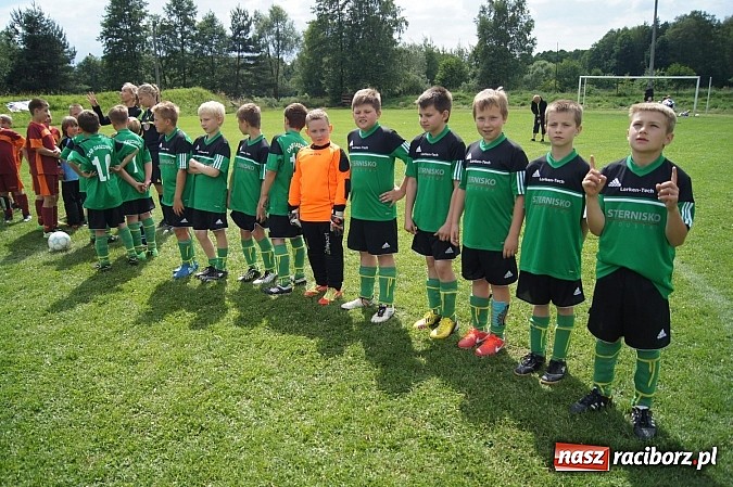 Zdjęcie w galerii na portalu naszraciborz.pl: Drużyny z trzech powiatów na Górki Cup 2014 wiadomości z regionu