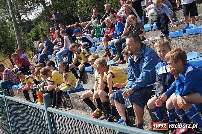 Zdjęcie w galerii na portalu naszraciborz.pl: Drużyny z trzech powiatów na Górki Cup 2014 wiadomości z regionu