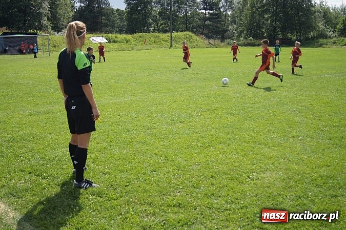 Zdjęcie w galerii na portalu naszraciborz.pl: Drużyny z trzech powiatów na Górki Cup 2014 wiadomości z regionu