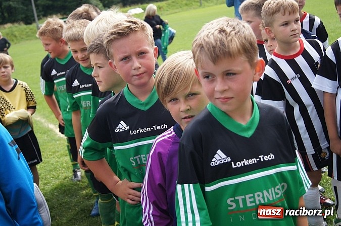 Zdjęcie w galerii na portalu naszraciborz.pl: Drużyny z trzech powiatów na Górki Cup 2014 wiadomości z regionu