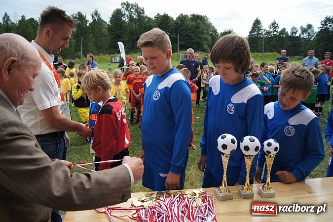 Zdjęcie w galerii na portalu naszraciborz.pl: Drużyny z trzech powiatów na Górki Cup 2014 wiadomości z regionu