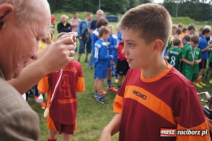 Zdjęcie w galerii na portalu naszraciborz.pl: Drużyny z trzech powiatów na Górki Cup 2014 wiadomości z regionu