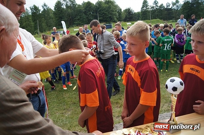 Zdjęcie w galerii na portalu naszraciborz.pl: Drużyny z trzech powiatów na Górki Cup 2014 wiadomości z regionu