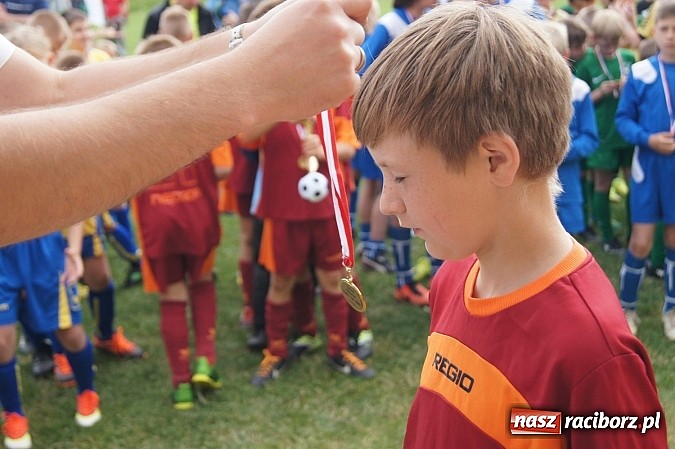 Zdjęcie w galerii na portalu naszraciborz.pl: Drużyny z trzech powiatów na Górki Cup 2014 wiadomości z regionu