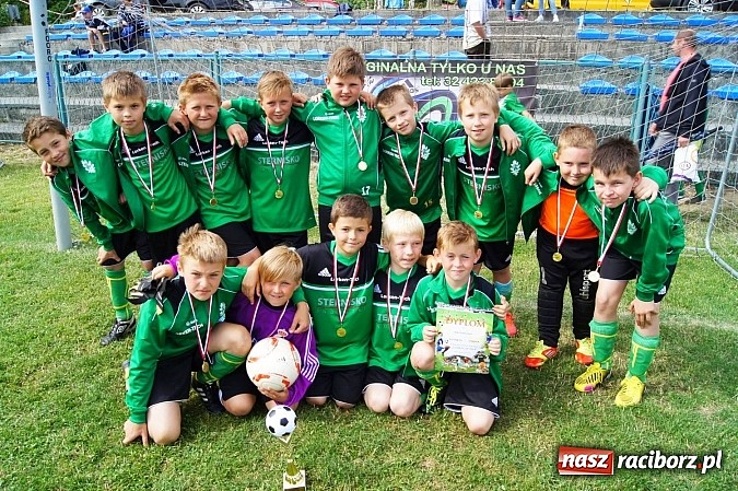 Zdjęcie w galerii na portalu naszraciborz.pl: Drużyny z trzech powiatów na Górki Cup 2014 wiadomości z regionu