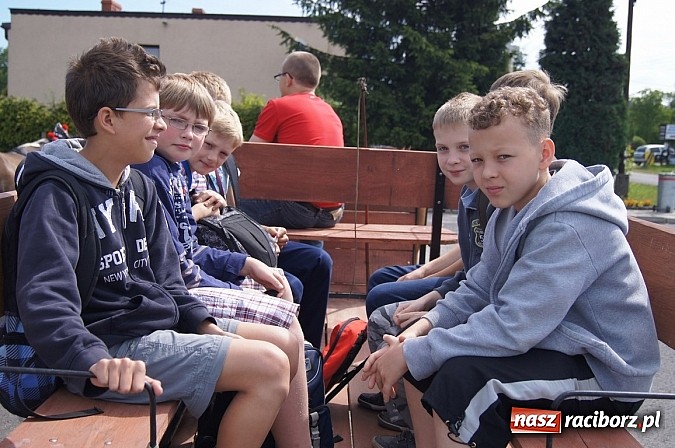 Zdjęcie w galerii na portalu naszraciborz.pl: Zielona lekcja czwórki  wiadomości z regionu