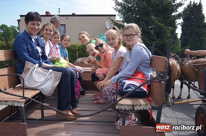 Zdjęcie w galerii na portalu naszraciborz.pl: Zielona lekcja czwórki  wiadomości z regionu