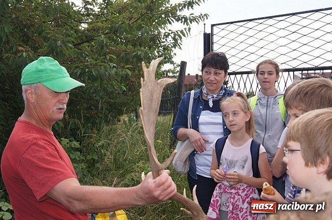 Zdjęcie w galerii na portalu naszraciborz.pl: Zielona lekcja czwórki  wiadomości z regionu