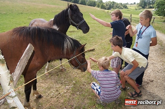 Zdjęcie w galerii na portalu naszraciborz.pl: Zielona lekcja czwórki  wiadomości z regionu