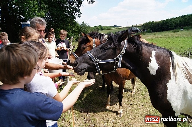 Zdjęcie w galerii na portalu naszraciborz.pl: Zielona lekcja czwórki  wiadomości z regionu