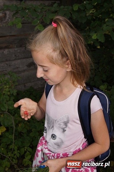 Zdjęcie w galerii na portalu naszraciborz.pl: Zielona lekcja czwórki  wiadomości z regionu