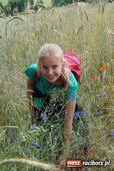 Zdjęcie w galerii na portalu naszraciborz.pl: Zielona lekcja czwórki  wiadomości z regionu