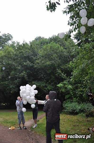 Zdjęcie w galerii na portalu naszraciborz.pl: Dąb Cysters ma już swoich potomków wiadomości z regionu