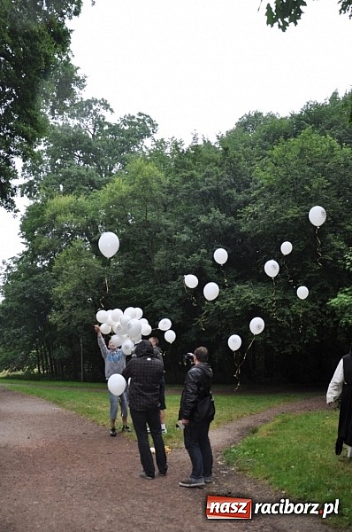 Zdjęcie w galerii na portalu naszraciborz.pl: Dąb Cysters ma już swoich potomków wiadomości z regionu