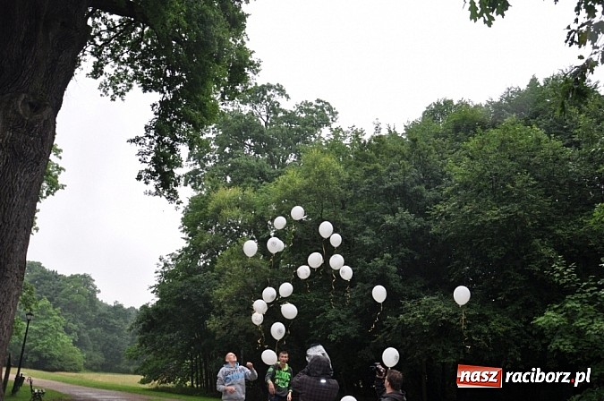 Zdjęcie w galerii na portalu naszraciborz.pl: Dąb Cysters ma już swoich potomków wiadomości z regionu
