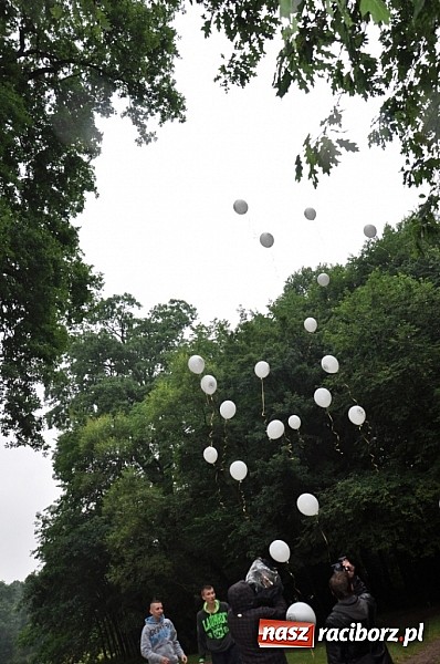 Zdjęcie w galerii na portalu naszraciborz.pl: Dąb Cysters ma już swoich potomków wiadomości z regionu