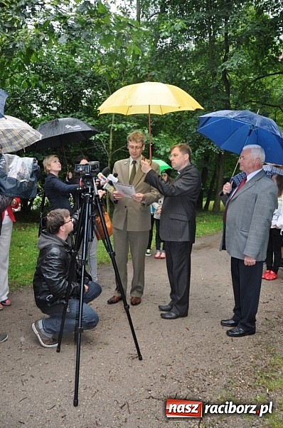 Zdjęcie w galerii na portalu naszraciborz.pl: Dąb Cysters ma już swoich potomków wiadomości z regionu