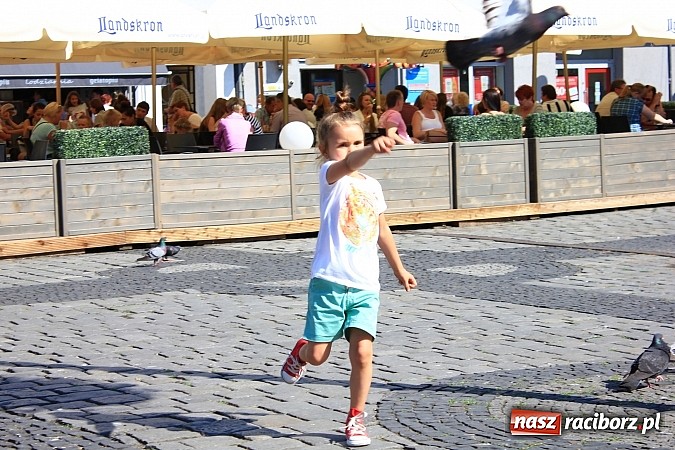 Zdjęcie w galerii na portalu naszraciborz.pl: Chcą zwalczać mowę nienawiści w internecie wiadomości z regionu