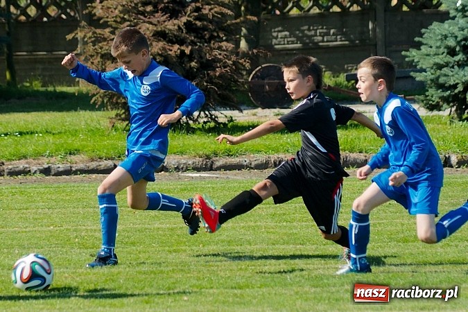 Zdjęcie w galerii na portalu naszraciborz.pl: Tworków Cup 2014: Gospodarze lepsi w karnych wiadomości z regionu
