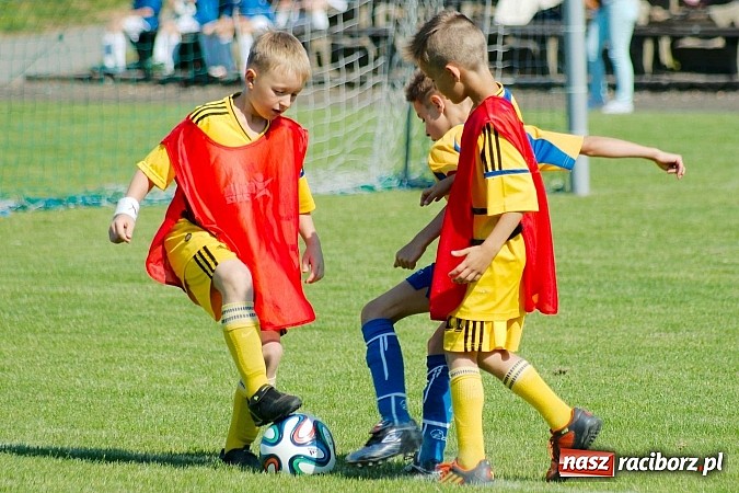 Zdjęcie w galerii na portalu naszraciborz.pl: Tworków Cup 2014: Gospodarze lepsi w karnych wiadomości z regionu