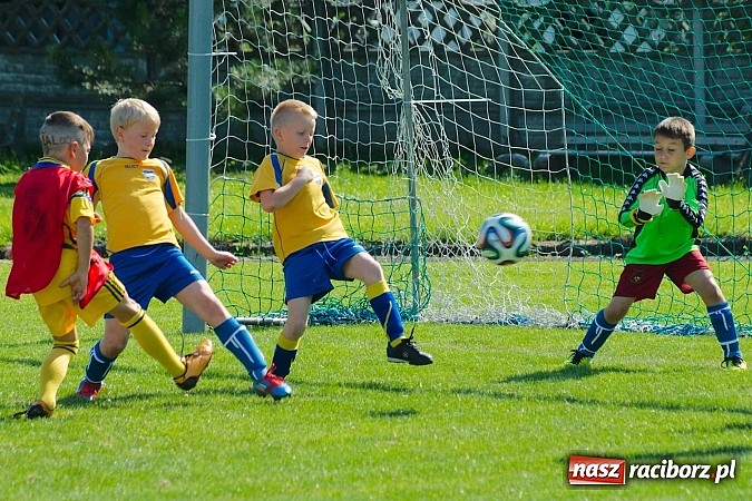Zdjęcie w galerii na portalu naszraciborz.pl: Tworków Cup 2014: Gospodarze lepsi w karnych wiadomości z regionu