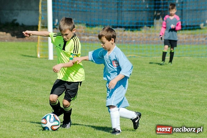 Zdjęcie w galerii na portalu naszraciborz.pl: Tworków Cup 2014: Gospodarze lepsi w karnych wiadomości z regionu