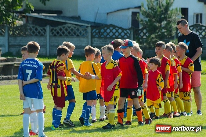 Zdjęcie w galerii na portalu naszraciborz.pl: Tworków Cup 2014: Gospodarze lepsi w karnych wiadomości z regionu