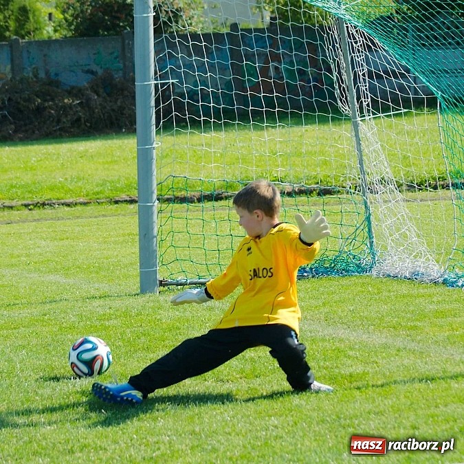 Zdjęcie w galerii na portalu naszraciborz.pl: Tworków Cup 2014: Gospodarze lepsi w karnych wiadomości z regionu