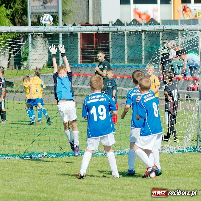 Zdjęcie w galerii na portalu naszraciborz.pl: Tworków Cup 2014: Gospodarze lepsi w karnych wiadomości z regionu