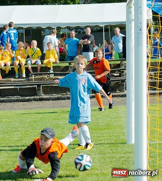 Zdjęcie w galerii na portalu naszraciborz.pl: Tworków Cup 2014: Gospodarze lepsi w karnych wiadomości z regionu