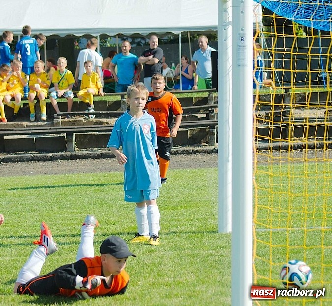 Zdjęcie w galerii na portalu naszraciborz.pl: Tworków Cup 2014: Gospodarze lepsi w karnych wiadomości z regionu