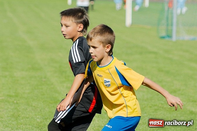 Zdjęcie w galerii na portalu naszraciborz.pl: Tworków Cup 2014: Gospodarze lepsi w karnych wiadomości z regionu
