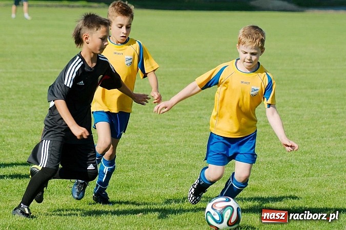 Zdjęcie w galerii na portalu naszraciborz.pl: Tworków Cup 2014: Gospodarze lepsi w karnych wiadomości z regionu