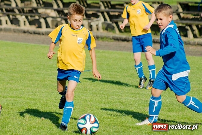 Zdjęcie w galerii na portalu naszraciborz.pl: Tworków Cup 2014: Gospodarze lepsi w karnych wiadomości z regionu