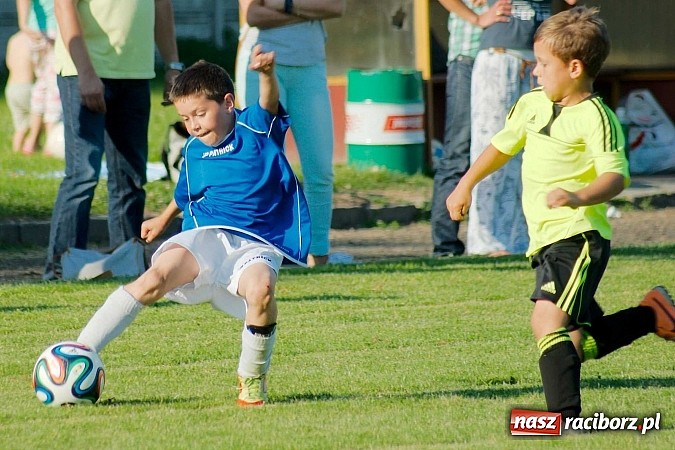 Zdjęcie w galerii na portalu naszraciborz.pl: Tworków Cup 2014: Gospodarze lepsi w karnych wiadomości z regionu