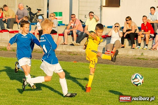 Zdjęcie w galerii na portalu naszraciborz.pl: Tworków Cup 2014: Gospodarze lepsi w karnych wiadomości z regionu