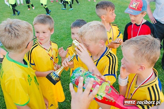 Zdjęcie w galerii na portalu naszraciborz.pl: Tworków Cup 2014: Gospodarze lepsi w karnych wiadomości z regionu