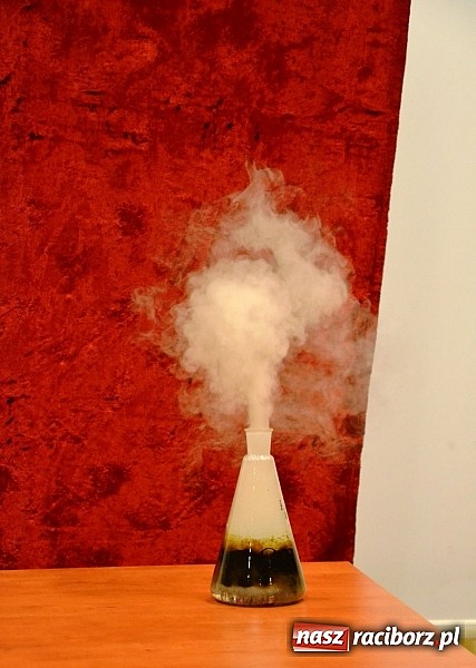 Zdjęcie w galerii na portalu naszraciborz.pl: Zobacz jak na zamku witano wakacje, czyli Zamkowa Noc z Duchami - odsłona trzecia wiadomości z regionu