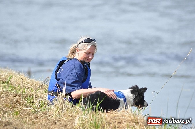 Zdjęcie w galerii na portalu naszraciborz.pl: Pierwsze koty za płoty. Sezon na Meandrach Odry otwarty wiadomości z regionu