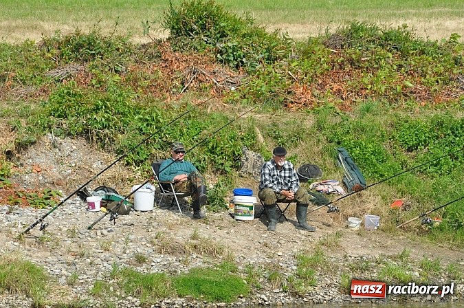Zdjęcie w galerii na portalu naszraciborz.pl: Pierwsze koty za płoty. Sezon na Meandrach Odry otwarty wiadomości z regionu