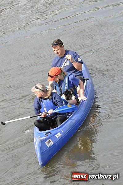 Zdjęcie w galerii na portalu naszraciborz.pl: Pierwsze koty za płoty. Sezon na Meandrach Odry otwarty wiadomości z regionu
