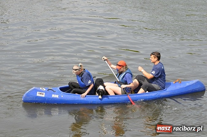 Zdjęcie w galerii na portalu naszraciborz.pl: Pierwsze koty za płoty. Sezon na Meandrach Odry otwarty wiadomości z regionu