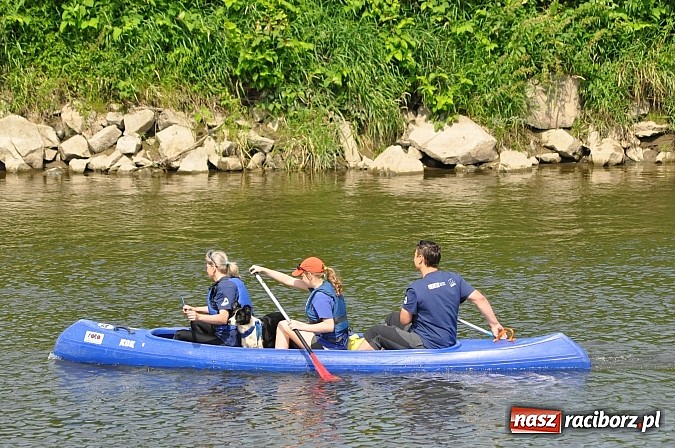 Zdjęcie w galerii na portalu naszraciborz.pl: Pierwsze koty za płoty. Sezon na Meandrach Odry otwarty wiadomości z regionu