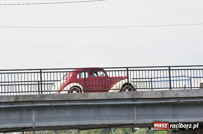Zdjęcie w galerii na portalu naszraciborz.pl: Pierwsze koty za płoty. Sezon na Meandrach Odry otwarty wiadomości z regionu