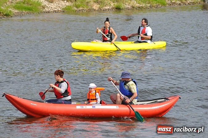 Zdjęcie w galerii na portalu naszraciborz.pl: Pierwsze koty za płoty. Sezon na Meandrach Odry otwarty wiadomości z regionu