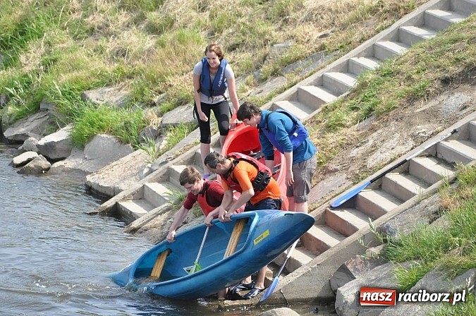Zdjęcie w galerii na portalu naszraciborz.pl: Pierwsze koty za płoty. Sezon na Meandrach Odry otwarty wiadomości z regionu