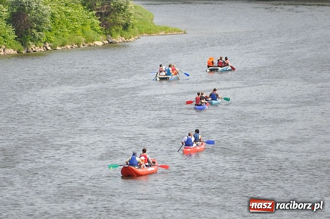 Zdjęcie w galerii na portalu naszraciborz.pl: Pierwsze koty za płoty. Sezon na Meandrach Odry otwarty wiadomości z regionu
