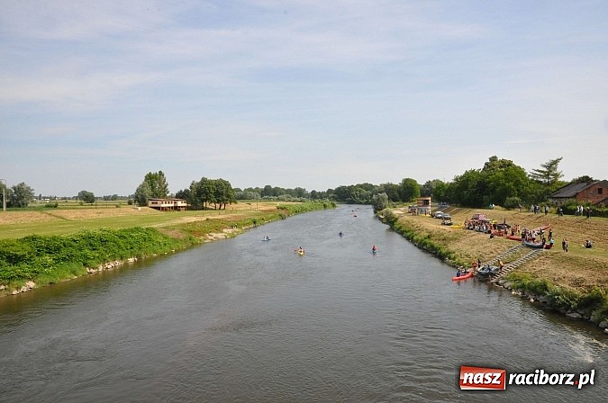 Zdjęcie w galerii na portalu naszraciborz.pl: Pierwsze koty za płoty. Sezon na Meandrach Odry otwarty wiadomości z regionu