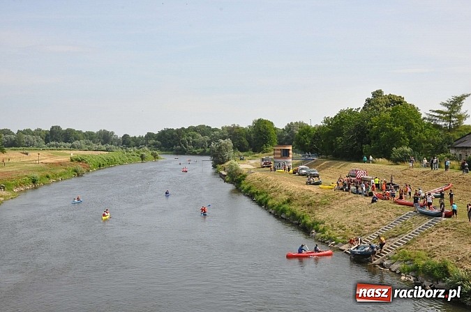 Zdjęcie w galerii na portalu naszraciborz.pl: Pierwsze koty za płoty. Sezon na Meandrach Odry otwarty wiadomości z regionu